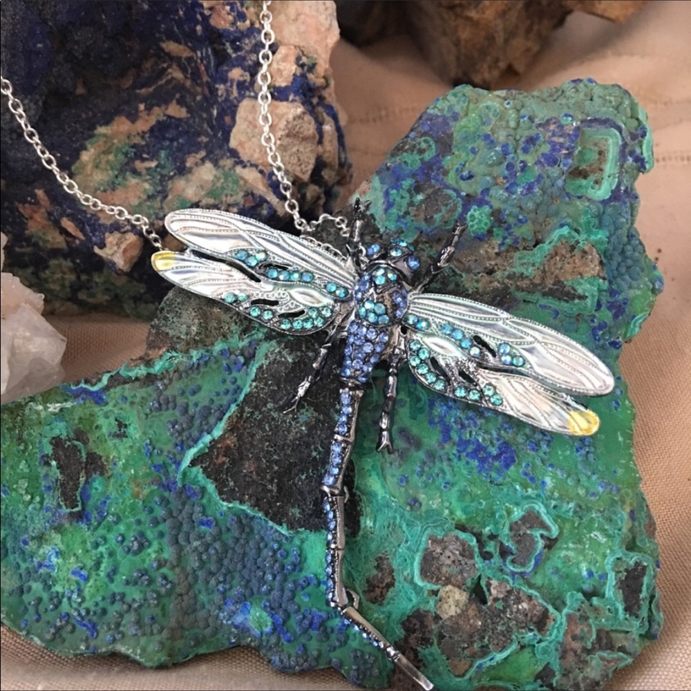 Dramatic Dragonfly - image 1